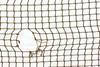 Hole in the net